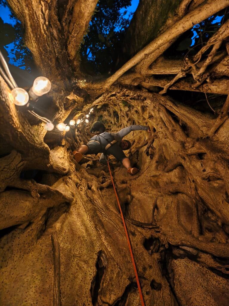 Climbing inside a strangler fig tree at Finca Modelo Ecológica Monteverde