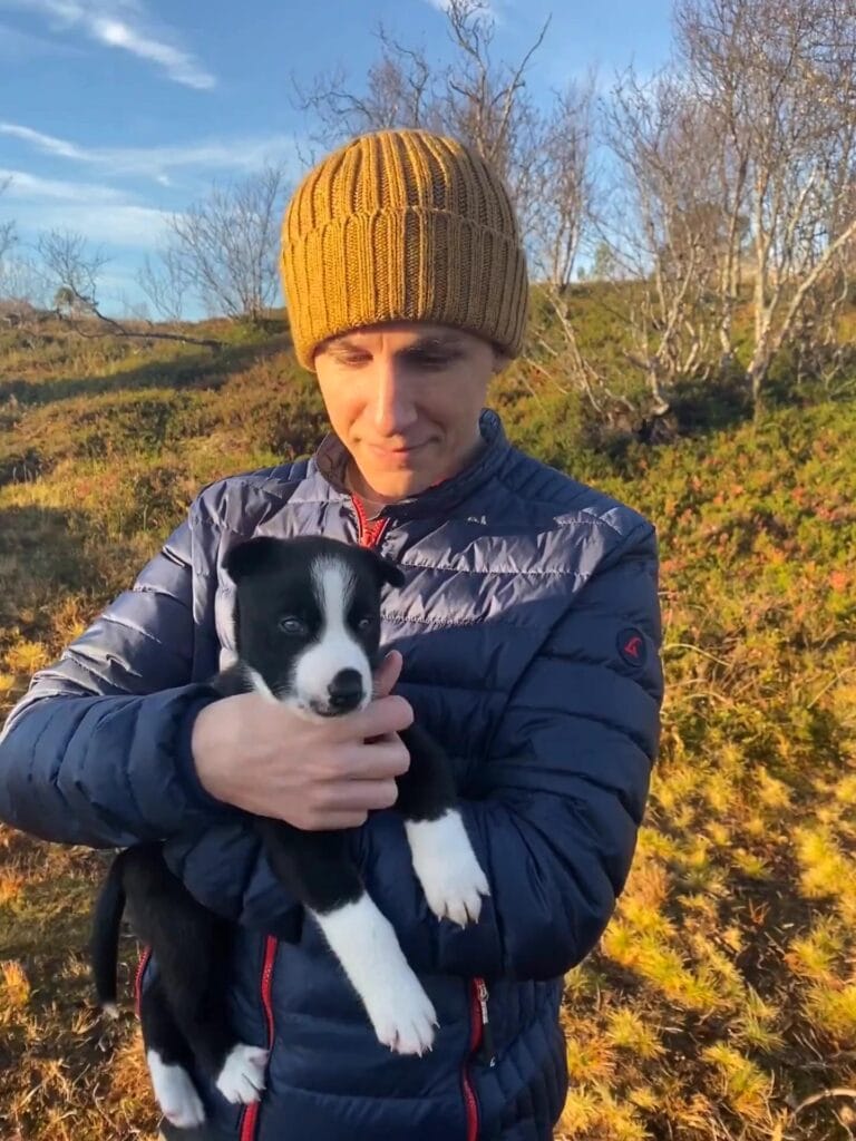 Husky puppy experience in Tromso Norway