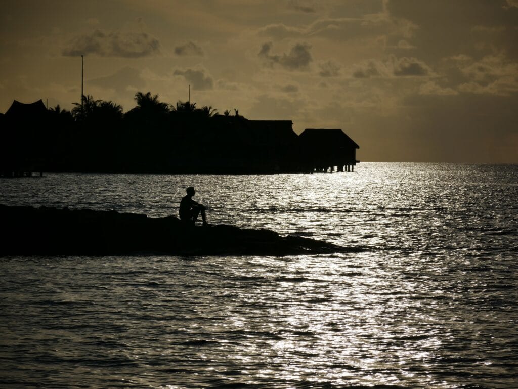 Silhouette of Scoot sitting on a rock during a Maldives sunset.