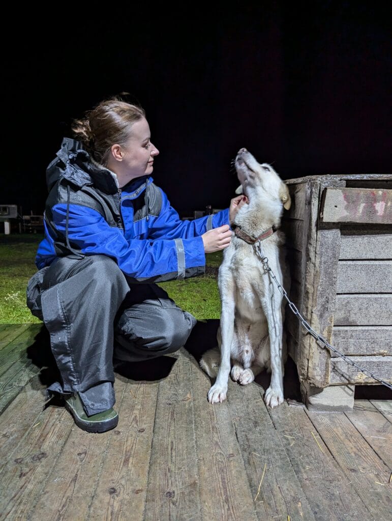 Petting a husky sled dog ini Tromso, Norway